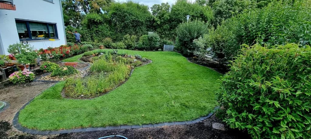 Ausgeführter Garten mit geschwungenem Rasen und Beeten